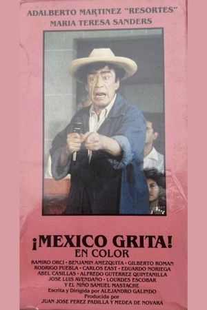 Lázaro Cárdenas's poster
