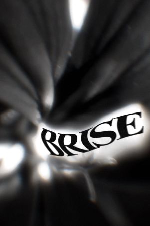 BRISE's poster