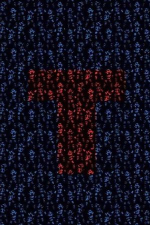 T's poster