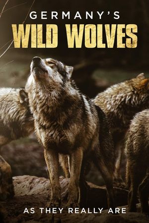 Germany's Wild Wolves - As They Really Are's poster image