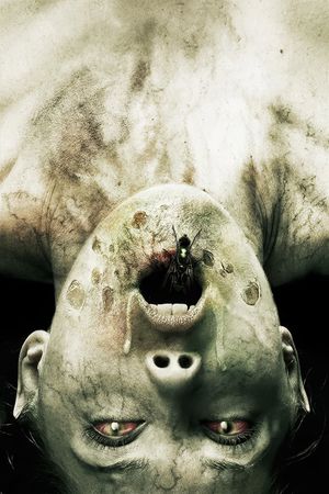 The Exorcism of Molly Hartley's poster