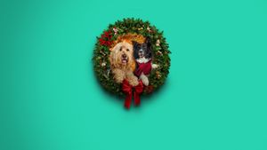Happy Howlidays's poster