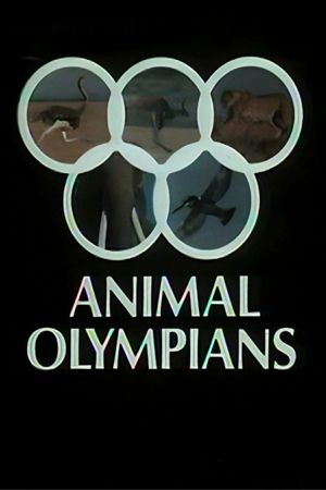 Animal Olympians's poster