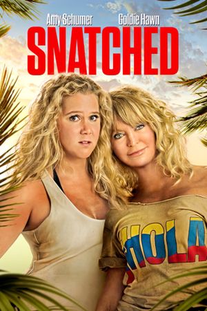 Snatched's poster