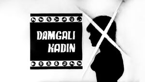 Damgali kadin's poster