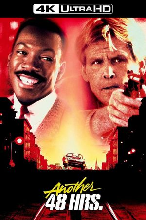 Another 48 Hrs.'s poster