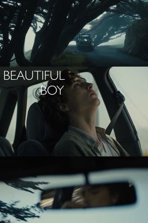 Beautiful Boy's poster