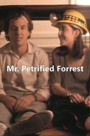 Mr. Petrified Forrest's poster