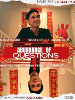 Abundance of Questions's poster image