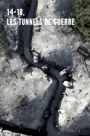 14-18, les tunnels de guerre's poster
