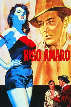 Bitter Rice's poster