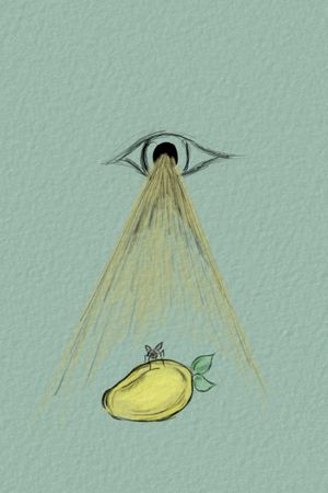 To Be A Fly On Your Mango's poster