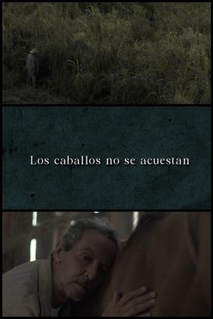Horses Don’t Lie Down's poster
