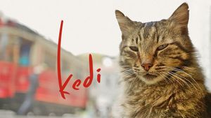 Kedi's poster
