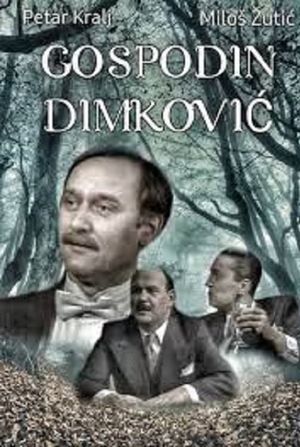 Mister Dimkovic's poster