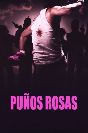 Pink Punch's poster
