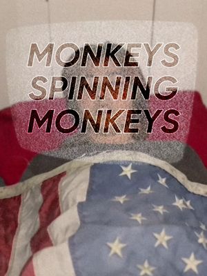 Monkeys Spinning Monkeys's poster