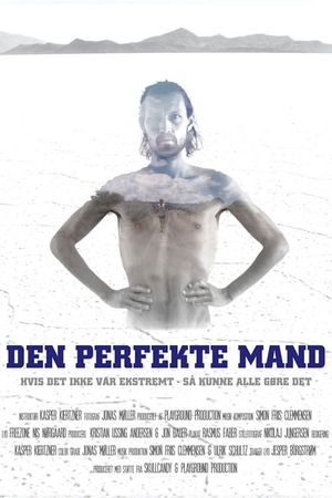 Den Perfekte Mand's poster