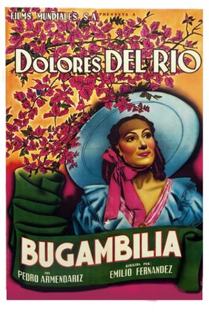 Bugambilia's poster