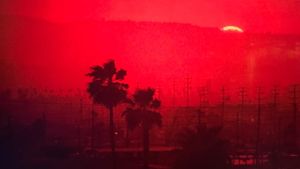 To Live and Die in L.A.'s poster