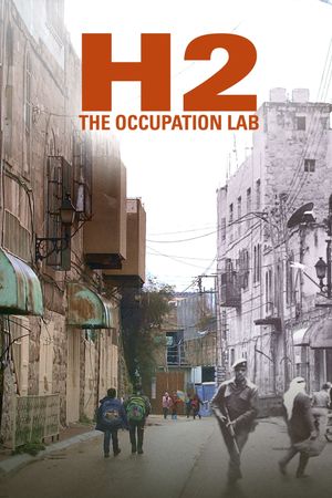 H2: The Occupation Lab's poster