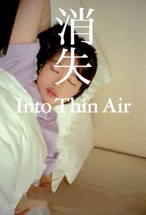 Into Thin Air's poster