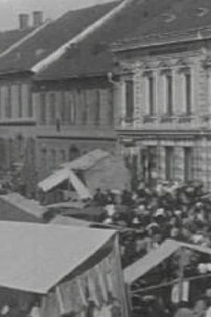 Fair at Ljutomer's poster