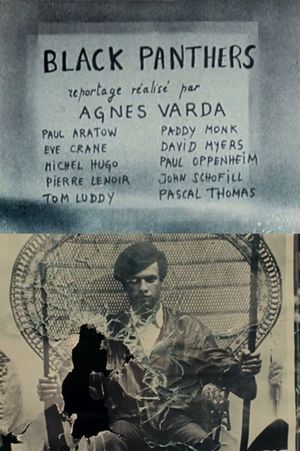 Black Panthers's poster