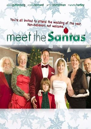 Meet The Santas's poster