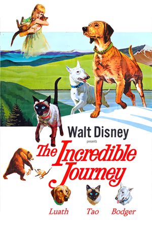 The Incredible Journey's poster