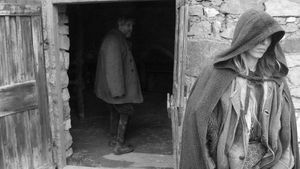 The Turin Horse's poster