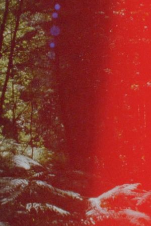 Newsreel 670 – Red Forests's poster