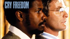 Cry Freedom's poster