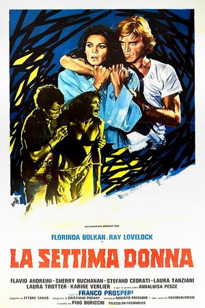 The Last House on the Beach's poster