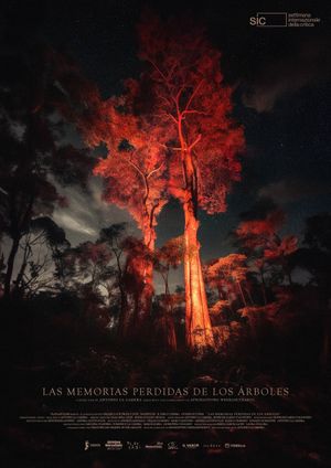 The Lost Memories Of Trees's poster