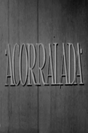 Acorralada's poster