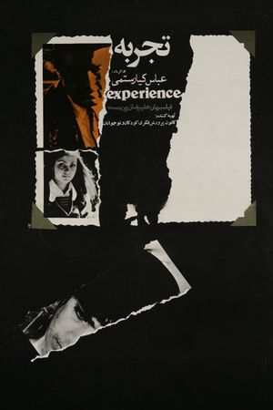 The Experience's poster