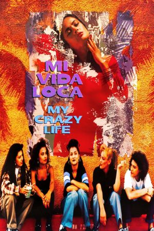 My Crazy Life's poster
