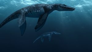 Sea Rex 3D: Journey to a Prehistoric World's poster