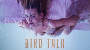 Bird Talk's poster