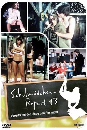 Schoolgirl Report Vol. 13: Don't Forget Love During Sex's poster