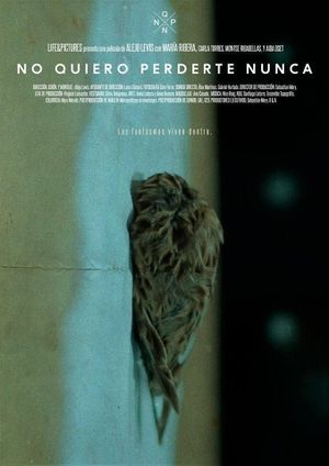 No quiero perderte nunca's poster