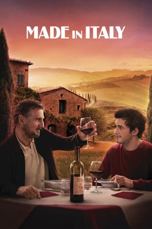 Made in Italy's poster