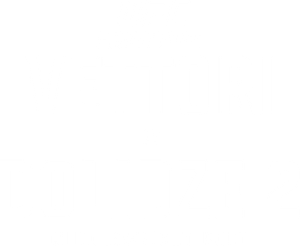 UFC Fight Night 254: Vettori vs. Dolidze 2's poster