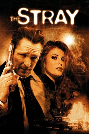 The Stray's poster