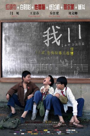 11 Flowers's poster