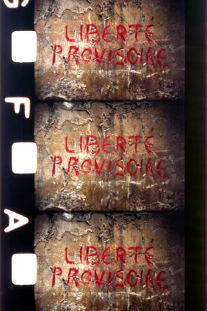 Liberté provisoire's poster