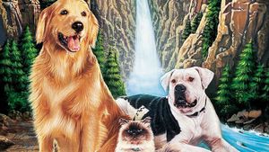 Homeward Bound: The Incredible Journey's poster