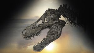 Dinosaur 13's poster