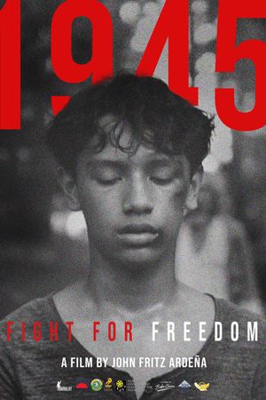 1945: Fight For Freedom's poster